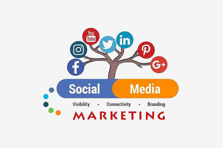 Social Media Marketing-Modul: